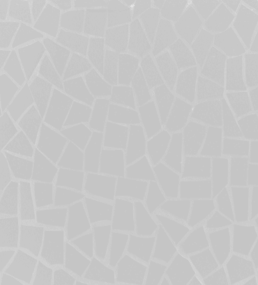 Beech Veneer