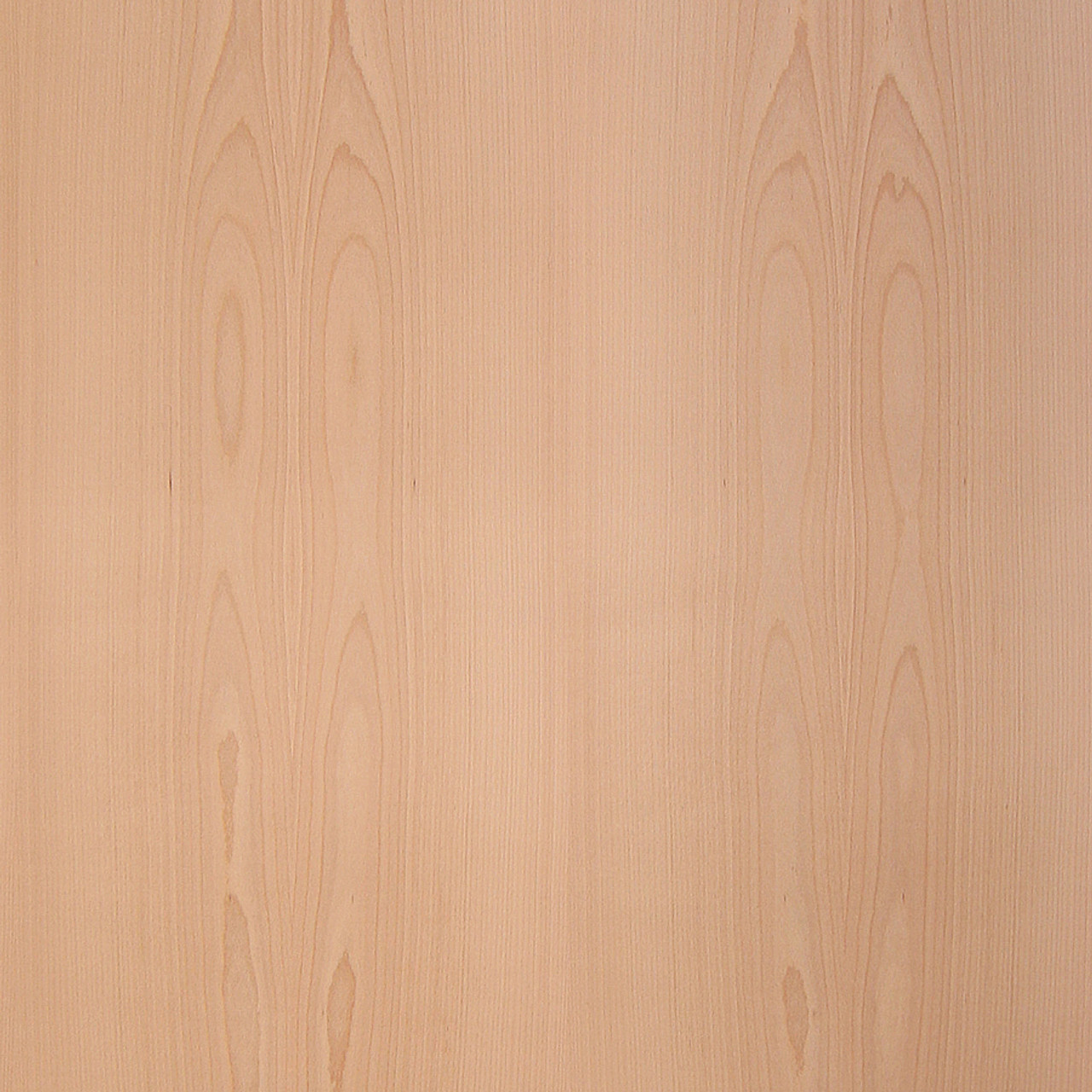 Beech Veneer