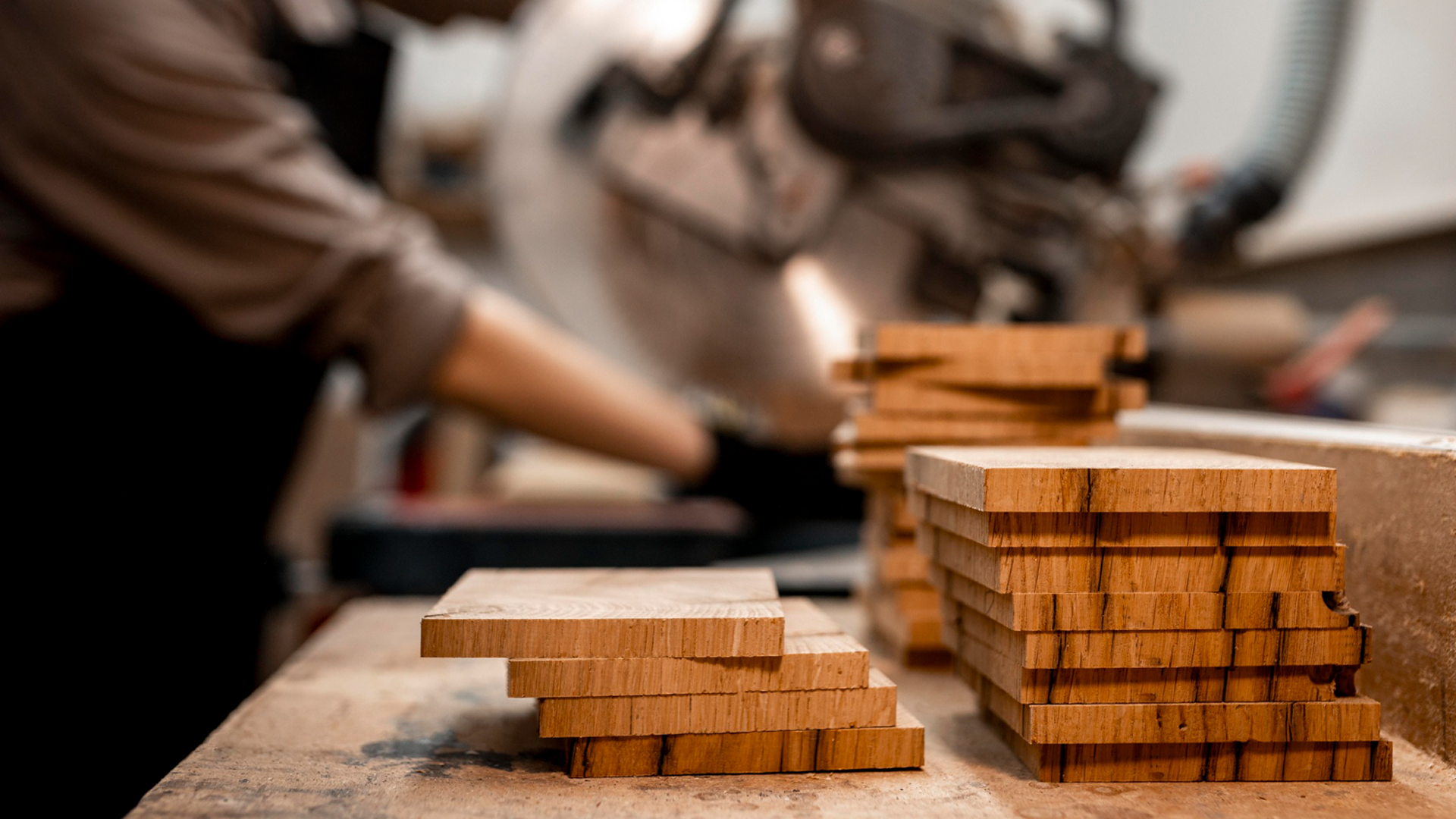 New Plywood Line Launches in 2023